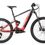 Bottecchia BE 37 Avok