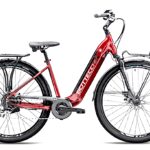 Bottecchia BE 20 Richmond