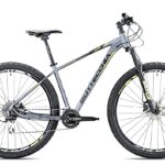 Bottecchia 116