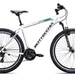 Bottecchia 106
