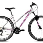 Bottecchia 103