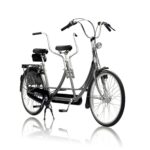 Tandem Linbike